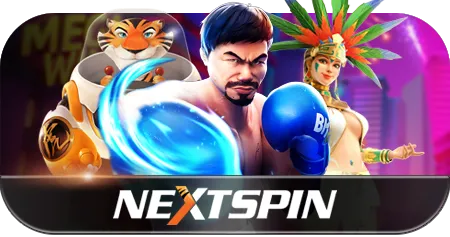 NEXTSPIN